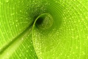 世界保龄球高校联赛教练员职业发展专题班启动，保龄球选手世界排名